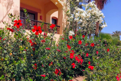 Ägypten, Rotes Meer, Marsa Alam 2019