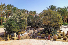 Ägypten, Rotes Meer, Marsa Alam 2020