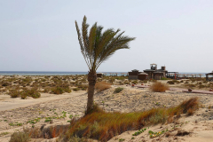 Ägypten, Rotes Meer, Berenice 2022