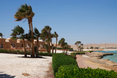 Ägypten, Rotes Meer, El Quseir 2023