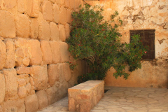 Ägypten, Sinai, Katharinenkloster