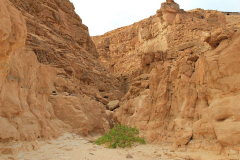 Ägypten, Sinai, Coloured Canyon