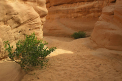 Ägypten, Sinai, Coloured Canyon
