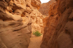 Ägypten, Sinai, Coloured Canyon