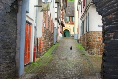 Bacharach