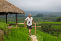 Bali, Reisterrassen bei Jatiluwih