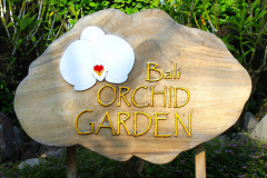 Bali, Denpasar, Orchideen Garten