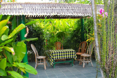 Bali, Denpasar, Orchideen Garten