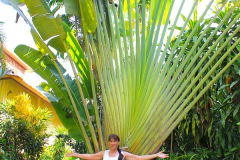 Bali, Sanur, Mercure Resort
