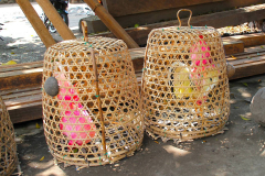 Bali, Dorf Tenganan