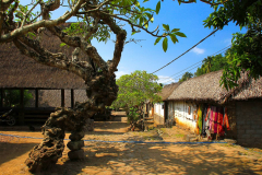 Bali, Dorf Tenganan