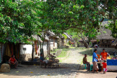 Bali, Dorf Tenganan