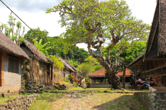 Bali, Dorf Tenganan