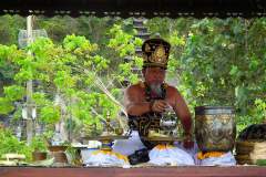 Bali, Fledermaushöhle Tempel Goa Lawah