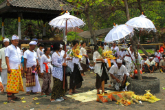 Bali, Fledermaushöhle Tempel Goa Lawah