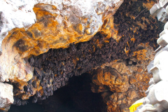 Bali, Fledermaushöhle Tempel Goa Lawah