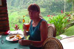 Ost Bali, Reisterrassen