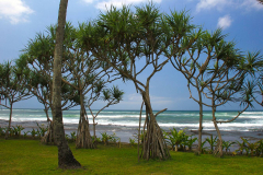 Bali, Puri Dajuma Cottages