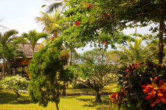 Bali, Puri Dajuma Cottages