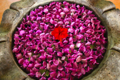 Bali, Puri Dajuma Cottages
