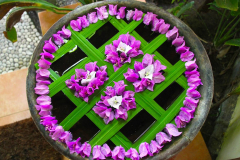 Bali, Puri Dajuma Cottages
