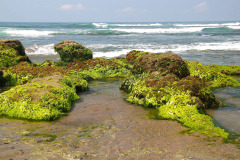 West Bali