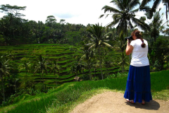 Bali, Tegalalang Reisterrassen
