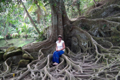 Bali, Goa Gajah Tempel, Ficus