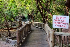 Botswana, Chobe Nationalpark, Chobe Safari Lodge
