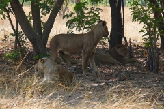 Botswana, Chobe Nationalpark