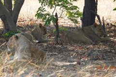 Botswana, Chobe Nationalpark