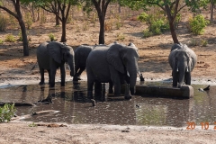 Botswana, Chobe Nationalpark