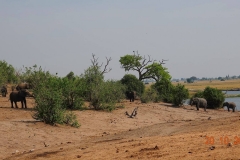 Botswana, Chobe Nationalpark
