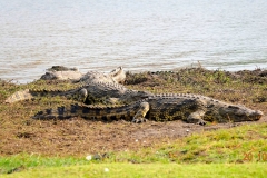 Botswana, Chobe-Fluss
