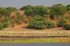 Botswana, Chobe-Fluss