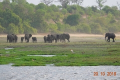 Botswana, Chobe-Fluss