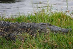 Botswana, Chobe-Fluss
