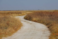 Botswana, Nata Vogelschutzzentrum