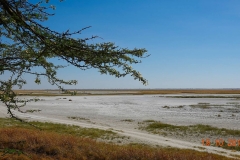 Botswana, Nata Vogelschutzzentrum