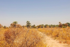 Botswana, Okavango Delta