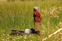 Botswana, Okavango Delta
