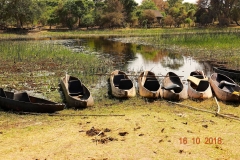Botswana, Okavango Delta, Mokoros