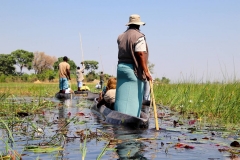 Botswana, Okavango Delta, Mokoro-Tour
