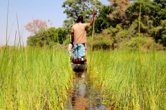 Botswana, Okavango Delta, Mokoro-Tour