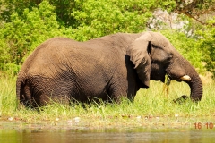 Botswana, Okavango Delta