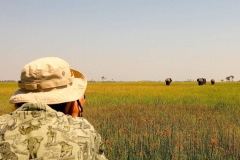 Botswana, Okavango Delta, Mokoro-Tour