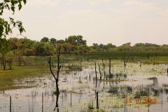 Botswana, Okavango Delta