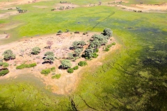Botswana, Okavango Delta