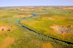Botswana, Okavango Delta