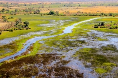 Botswana, Okavango Delta